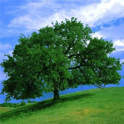 B体育登录入口APP下载