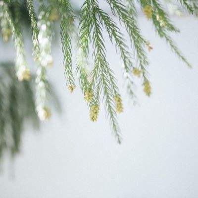 大众彩票入口welcome手机app下载