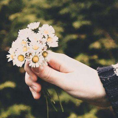 永盈会手机版下载手机版