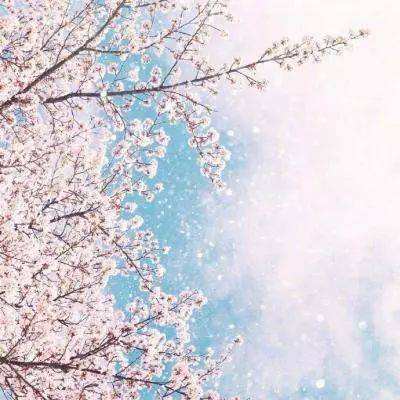 永盈会手机版下载手机版