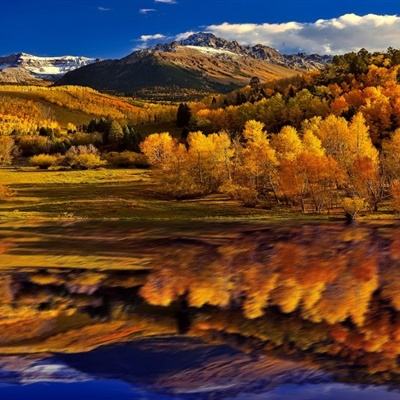 pg电子娱乐平台app下载