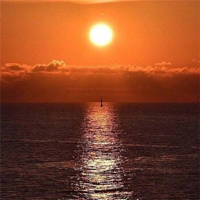 bob手机网页版登录入口