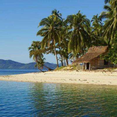 196体育(官方)APP下载安装